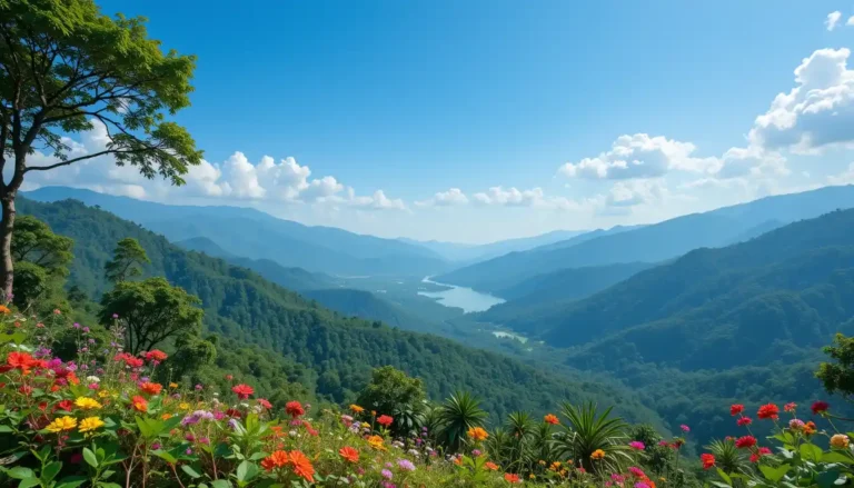 natural beauty eye catching nature dp for whatsapp